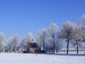 Esdonk 09.01.2009 008a